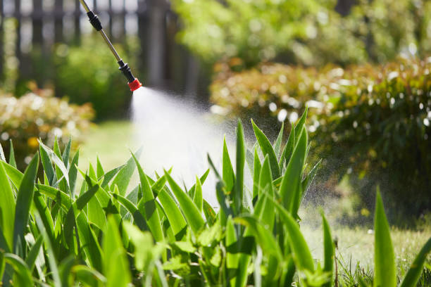 Tamper-Resistant Bait Stations for Rodents in Williamston