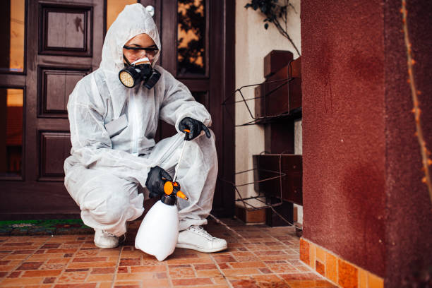Attic and Crawl Space Rodent Treatment in Williamston